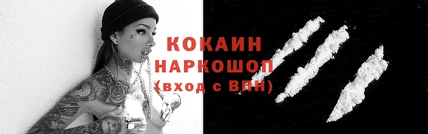 гашик Беломорск