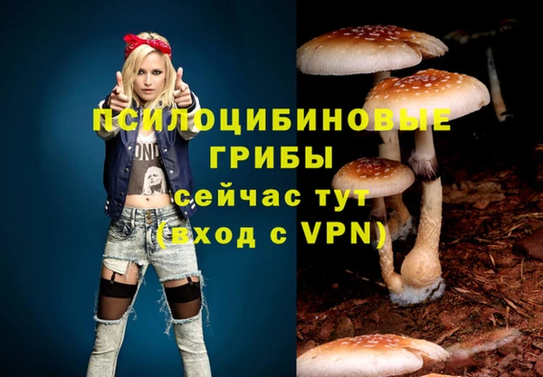 круглые Белокуриха
