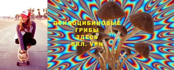 круглые Белокуриха