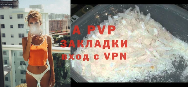 круглые Белокуриха