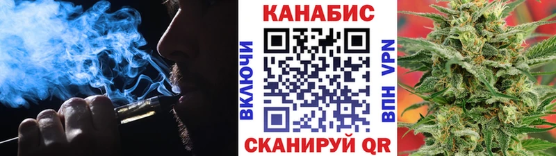 Конопля SATIVA & INDICA  продажа наркотиков  Гатчина 